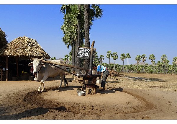 15_On the way to Pegu